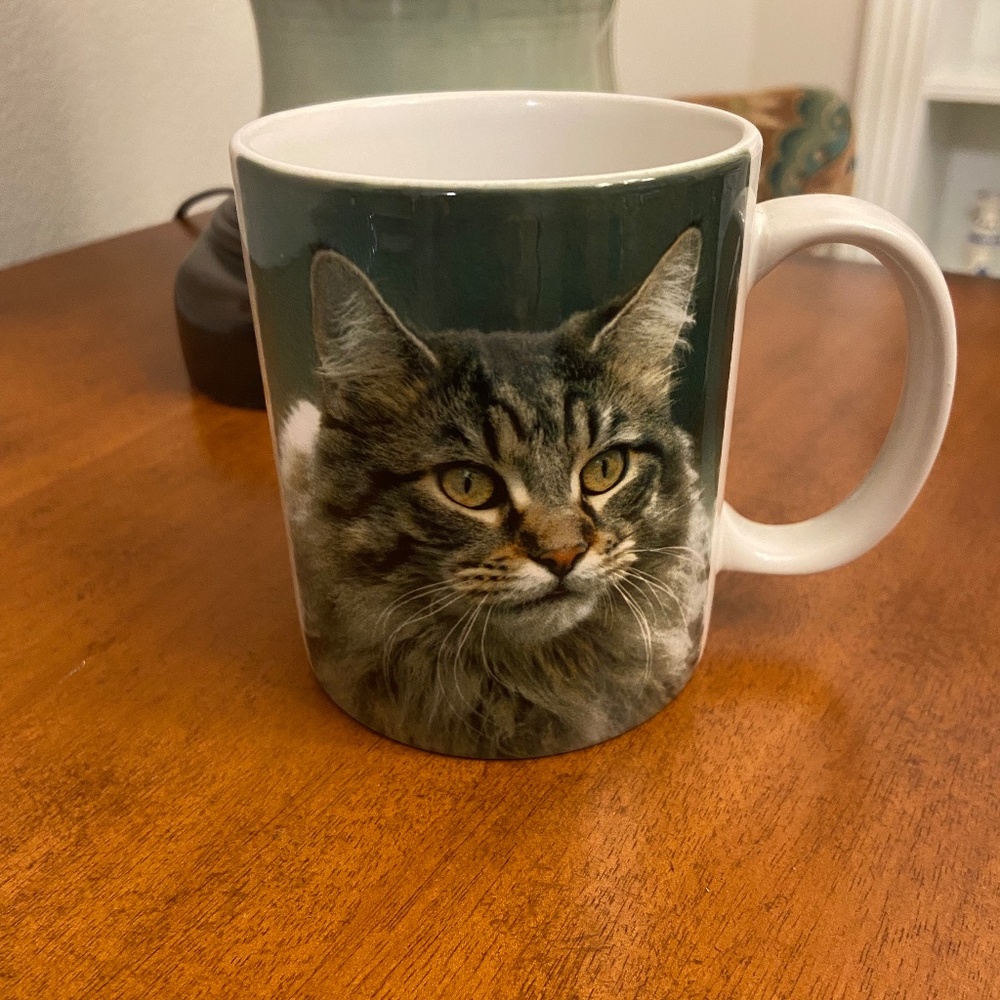 Colorful Maine Coon Cat Coffee Mug